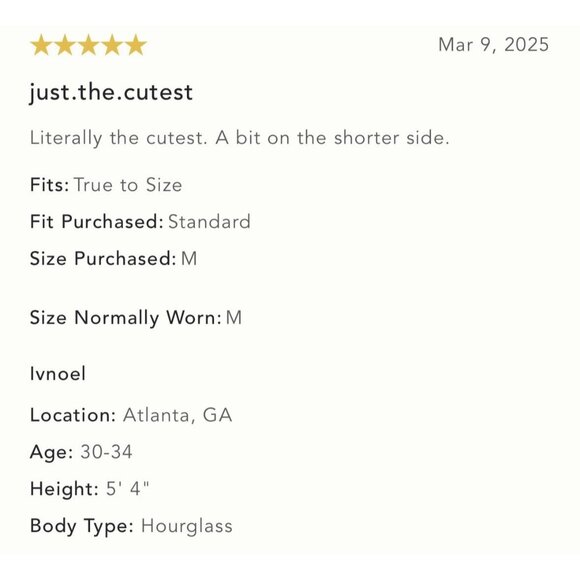 NWT Size XL -Anthropologie Celandine 100% Cotton Tiered Mini Dress (NWT US$ 98) - Picture 16 of 16